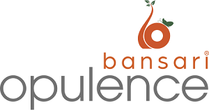 Bansari Opulance