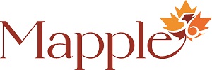 Mapple Group (Bilasiya)