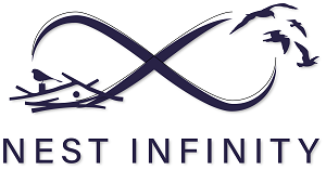Nest Infinity